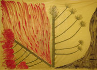 Drapeaux